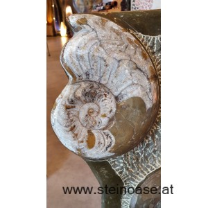 Fossile Skulptur 